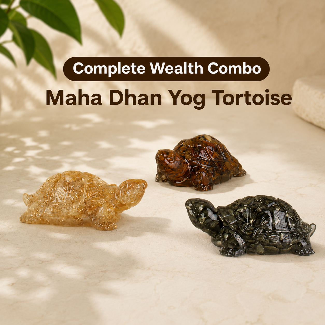 Dhanlabh Combo