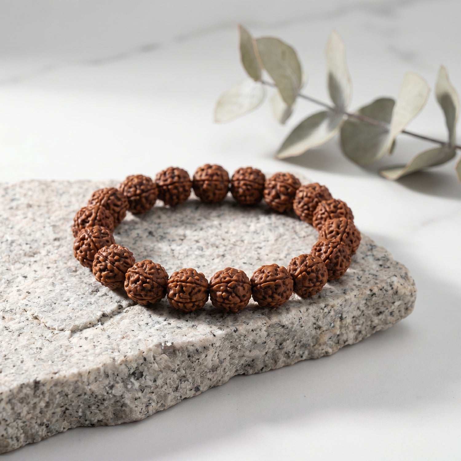 5 Mukhi Rudraksha Pendant